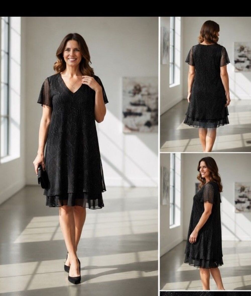 R&M Richards Black Sparkle Chiffon Dress Layered Sheer Womens Size 16